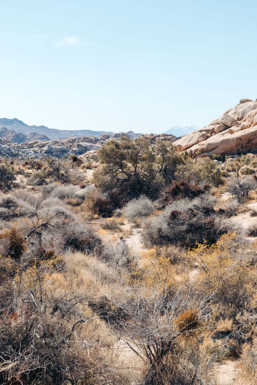 Visit Barker Dam in Joshua Tree - Roads and Destinations