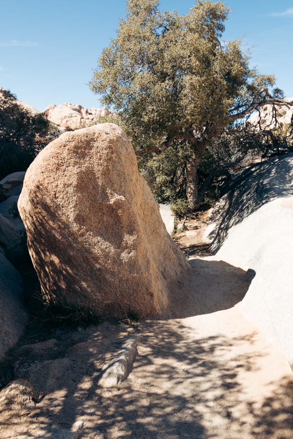 Visit Barker Dam in Joshua Tree - Roads and Destinations