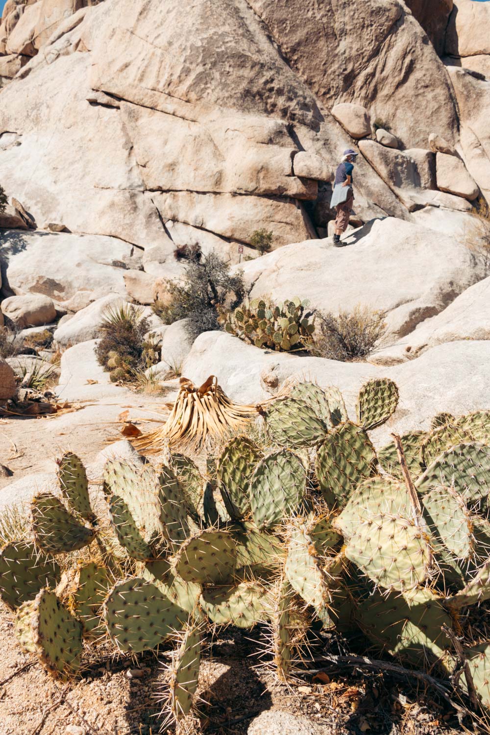 Visit Barker Dam in Joshua Tree - Roads and Destinations