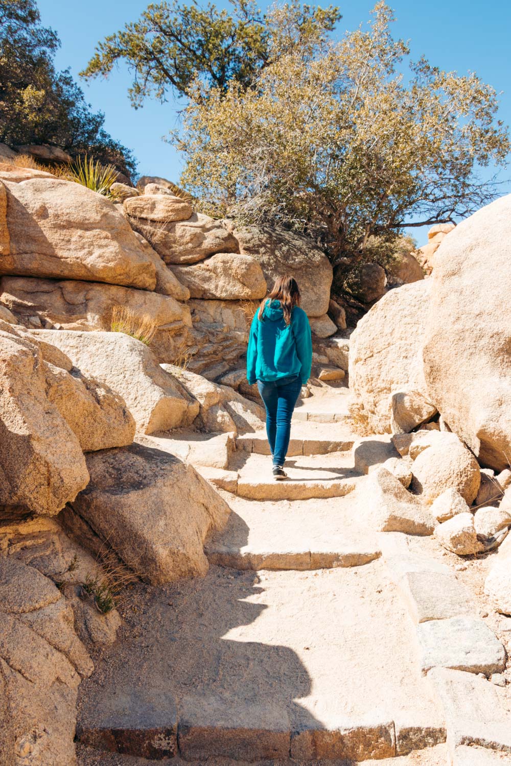 Visit Barker Dam in Joshua Tree - Roads and Destinations