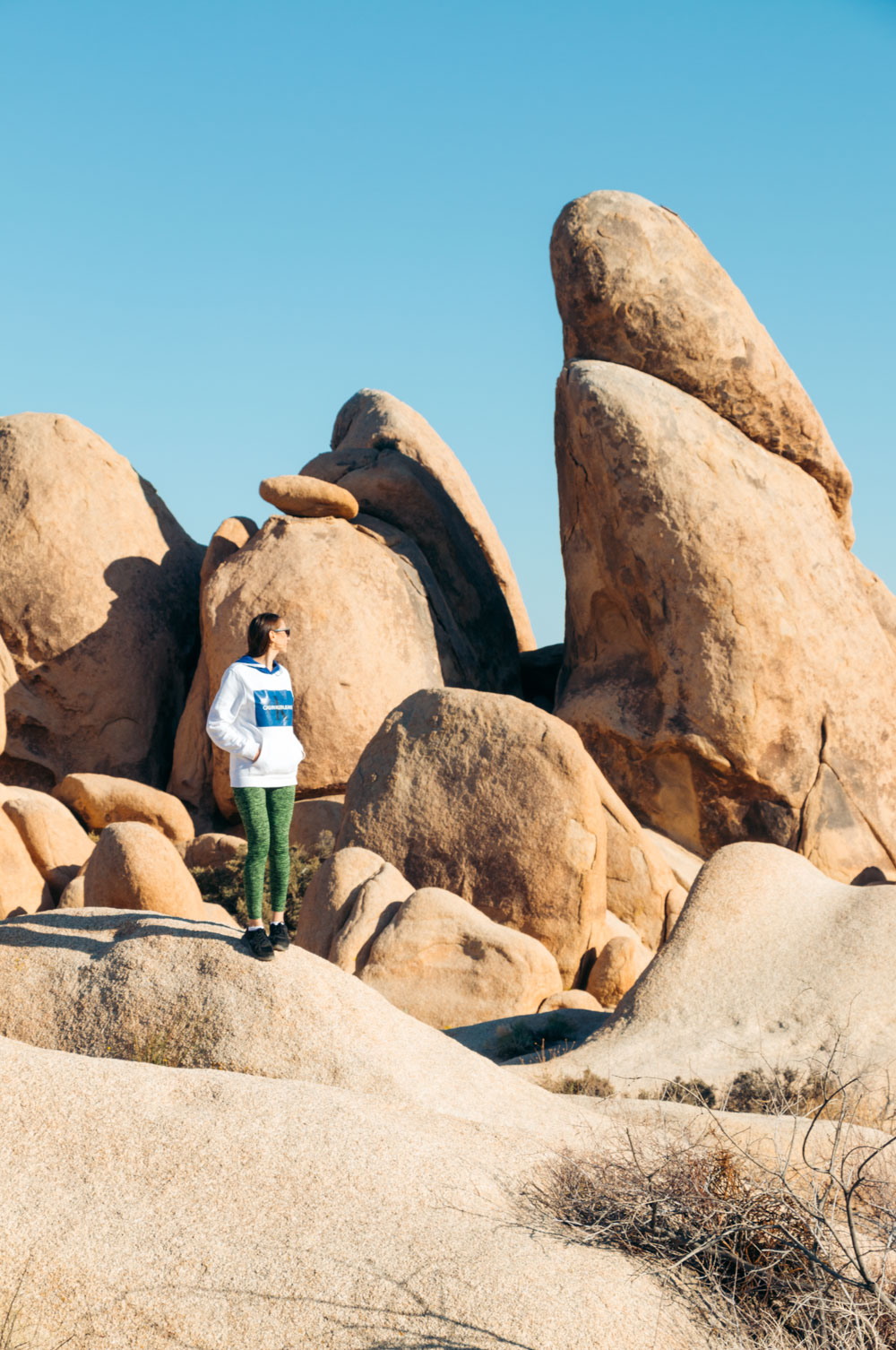 Weekend (1-2 Days) in Joshua Tree National Park - Roads and Destinations