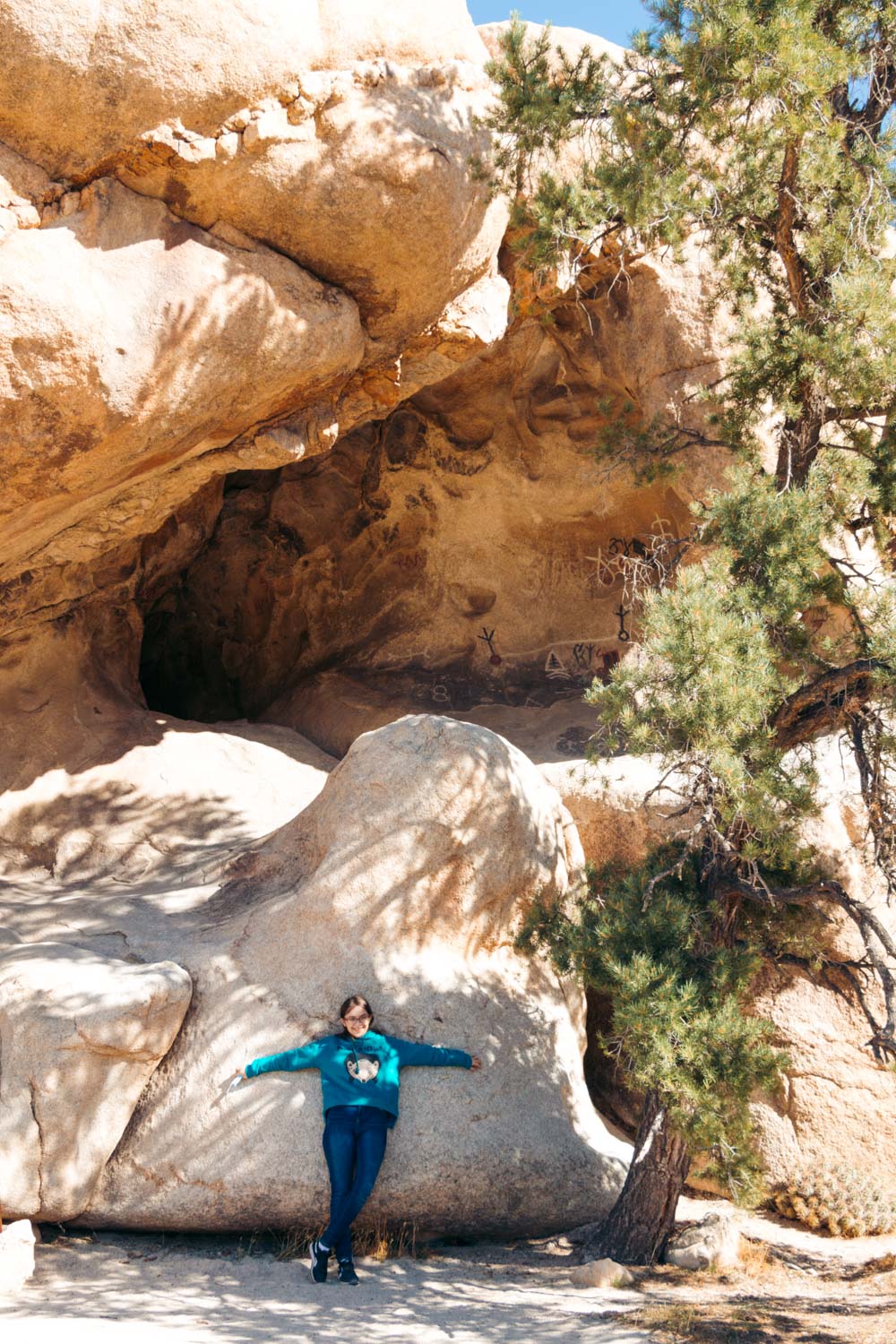 Weekend (1-2 Days) in Joshua Tree National Park - Roads and Destinations