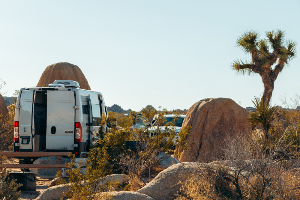 Weekend (1-2 Days) in Joshua Tree National Park - Roads and Destinations