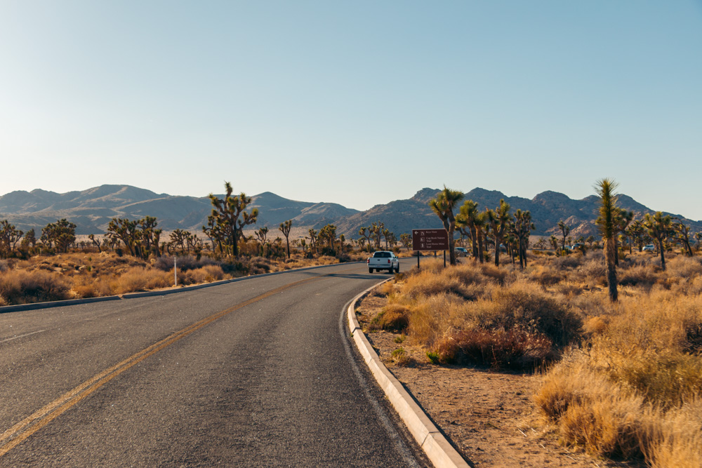Visit Joshua Tree National Park. Top Things to Do -  Roads and Destinations