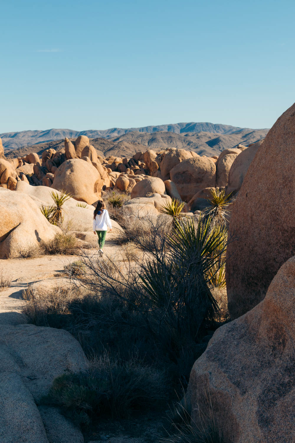 Weekend (1-2 Days) in Joshua Tree National Park - Roads and Destinations