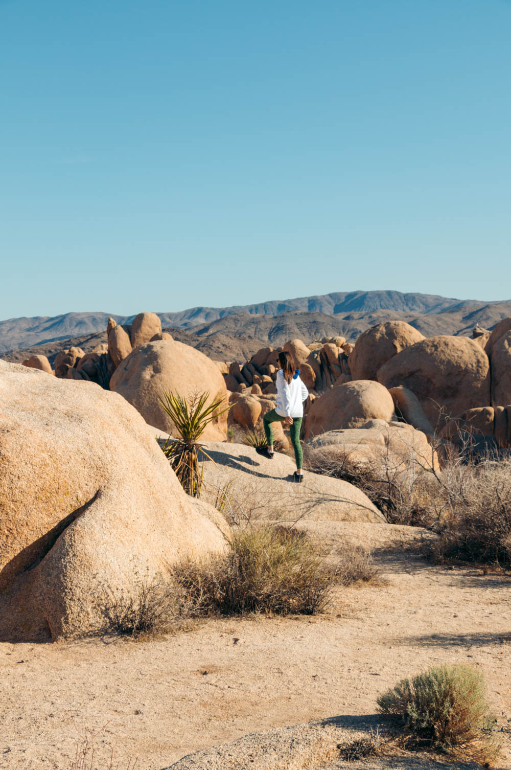 Visit Joshua Tree National Park. Top Things to Do -  Roads and Destinations