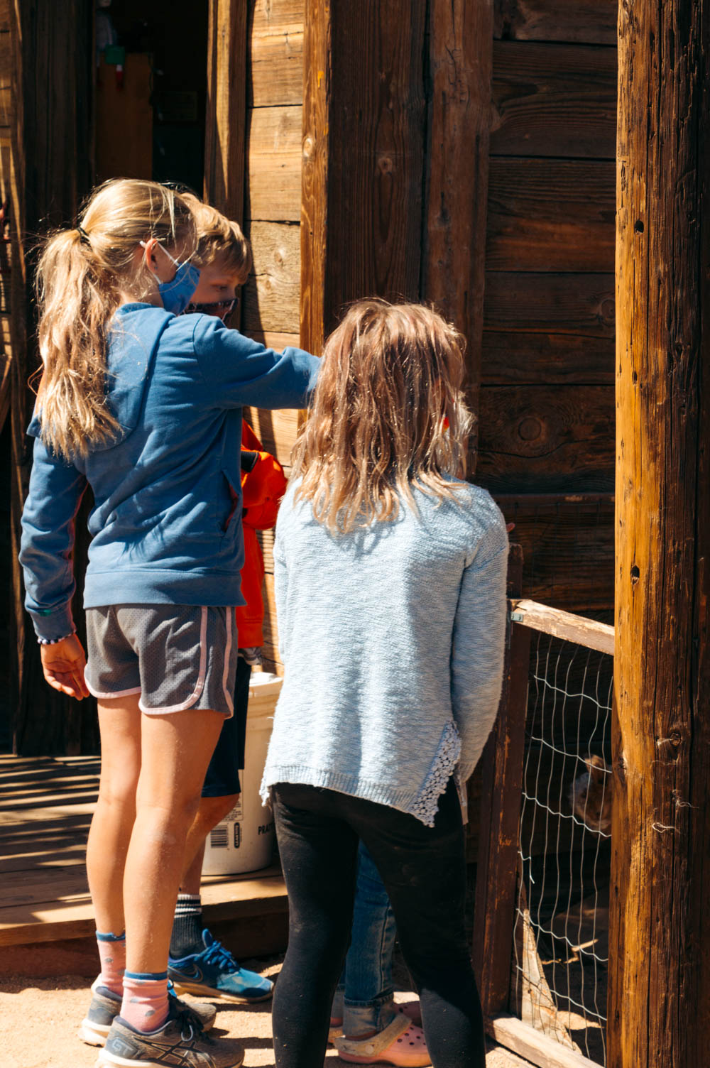 Petting zoo in Pioneertown- Roads and Destinations