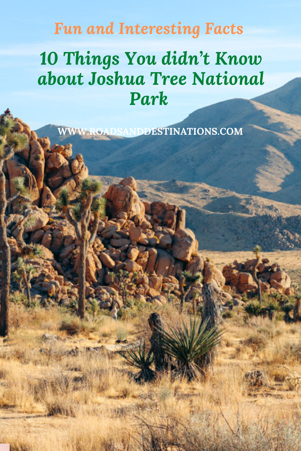 Things to know about Joshua Tree National Park - Roads and Destinations