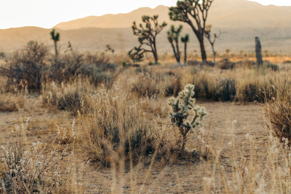 National Park, California - Roads and Destinations