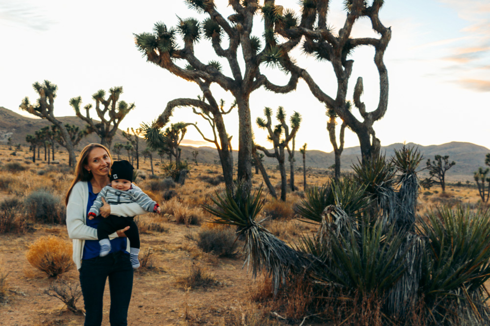 Things to know about Joshua Tree National Park - Roads and Destinations