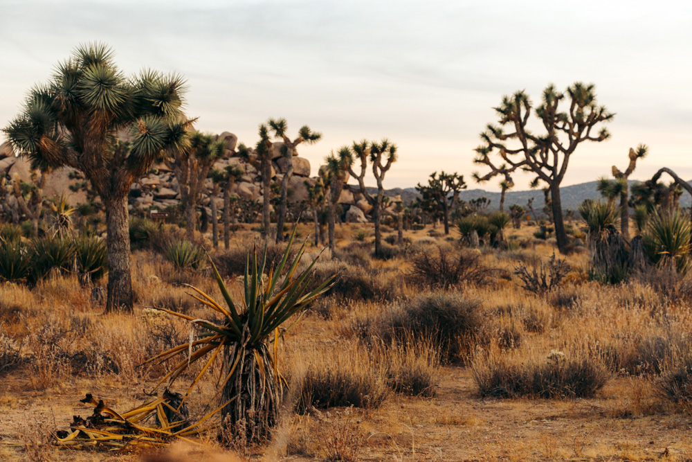  National Park, California - Roads and Destinations