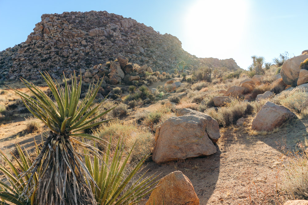  National Park, California - Roads and Destinations