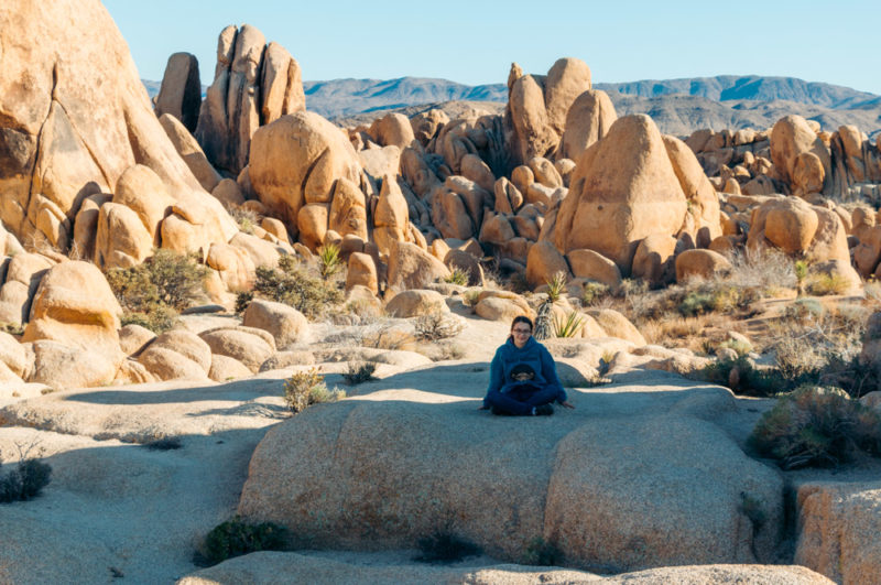 Top 10 Things to Do in Joshua Tree National Park - Roads and Destinations