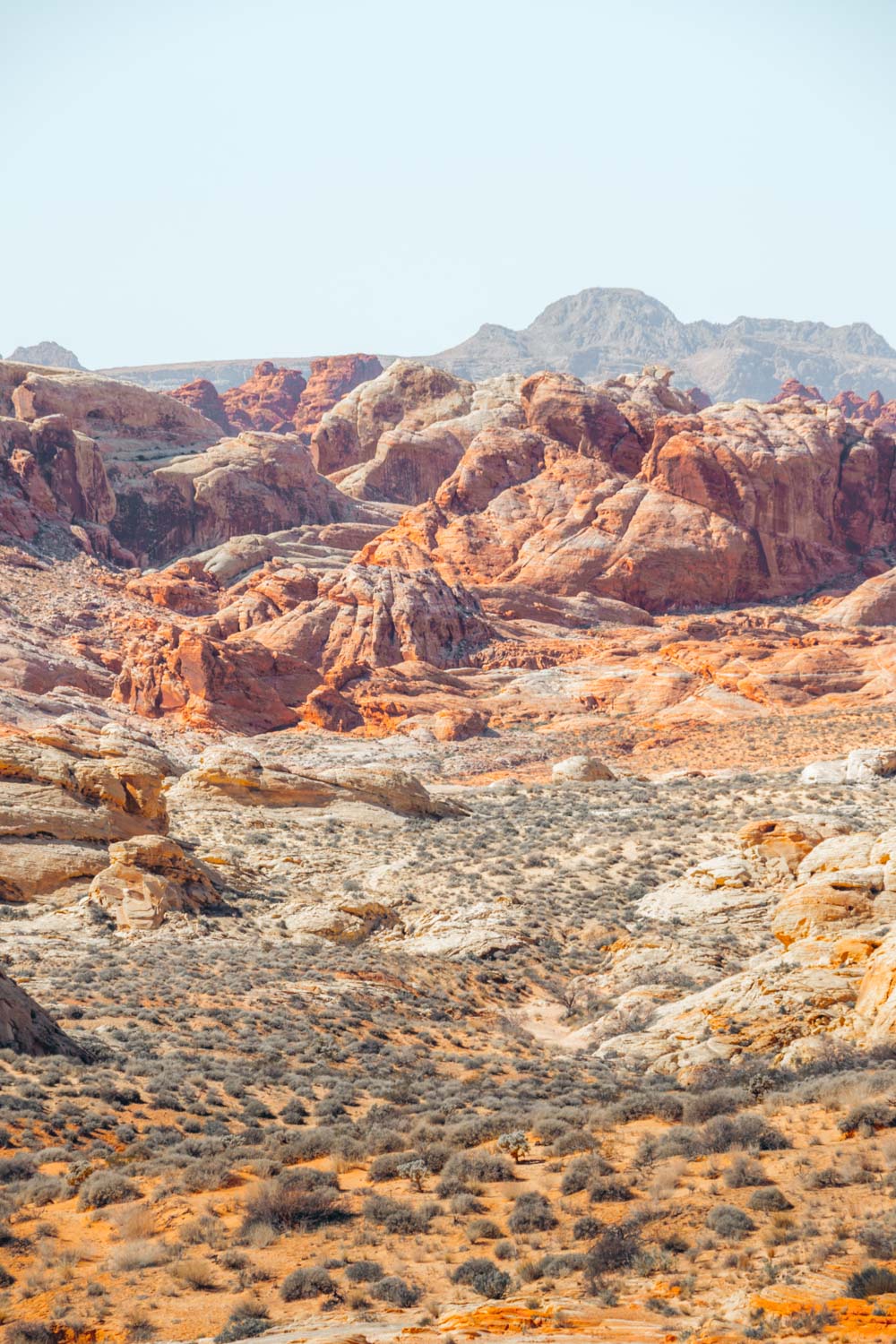 Visit Valley of Fire State Park - Roads and Destinations