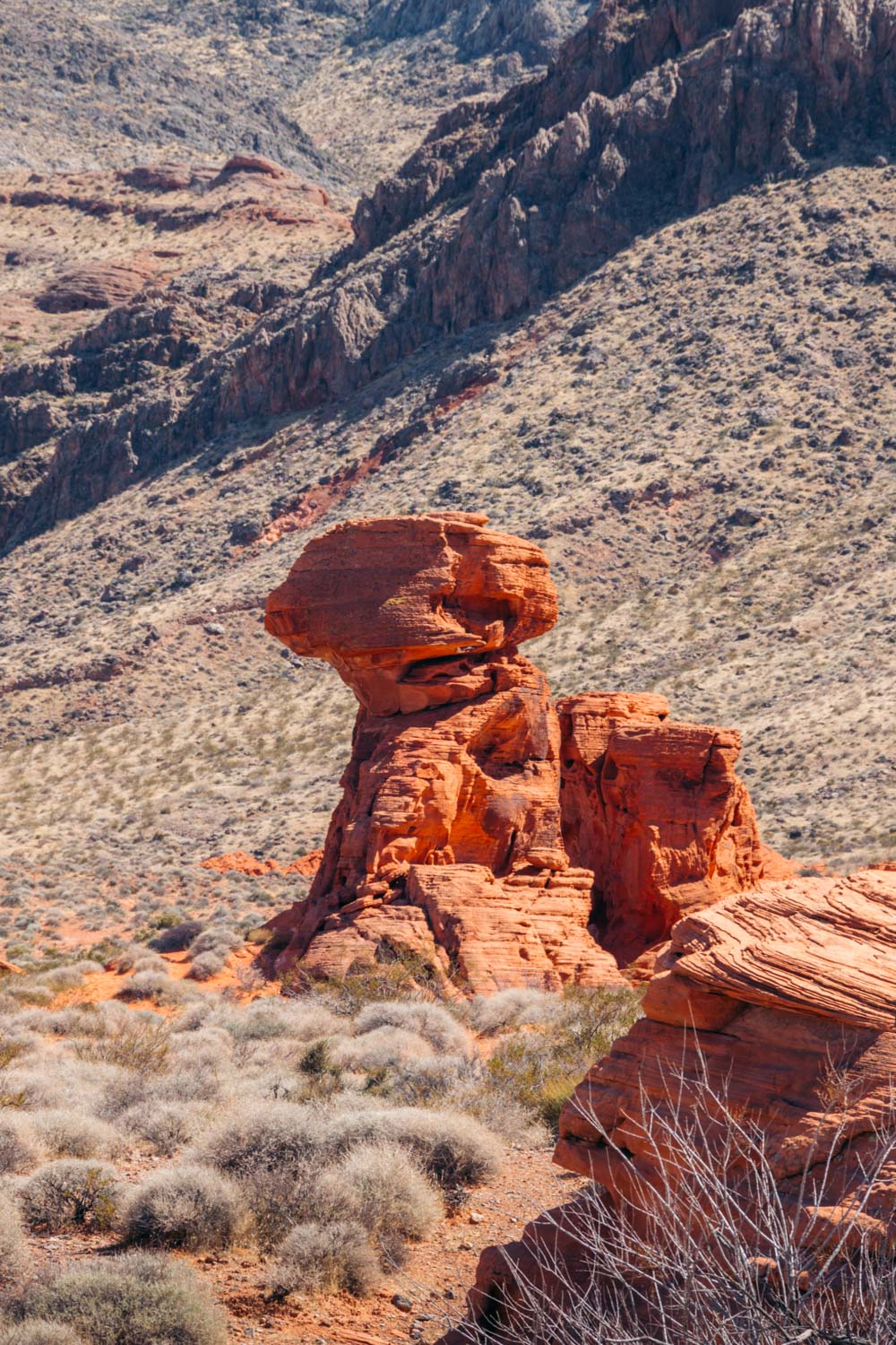 Visit Valley of Fire State Park - Roads and Destinations