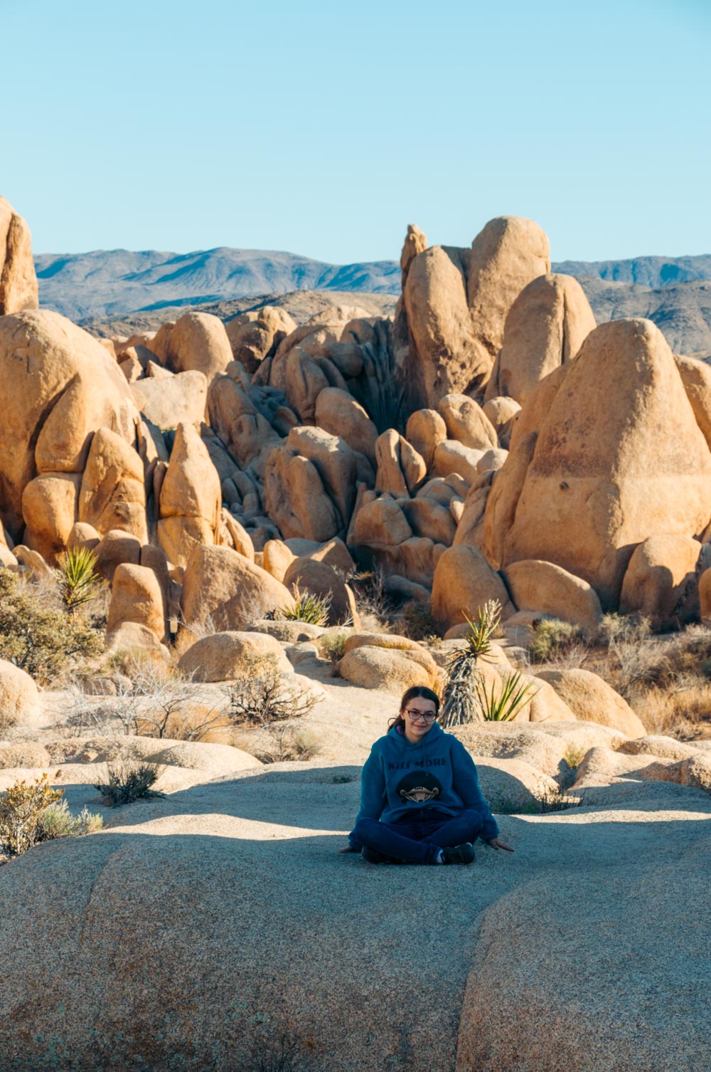 Weekend (1-2 Days) in Joshua Tree National Park - Roads and Destinations