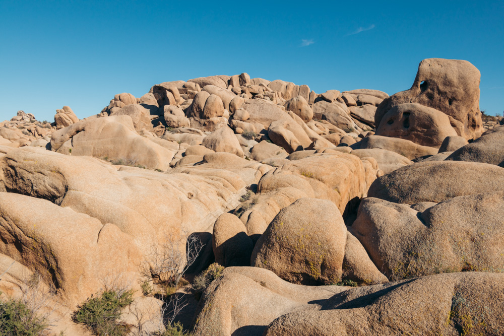 Weekend (1-2 Days) in Joshua Tree National Park - Roads and Destinations