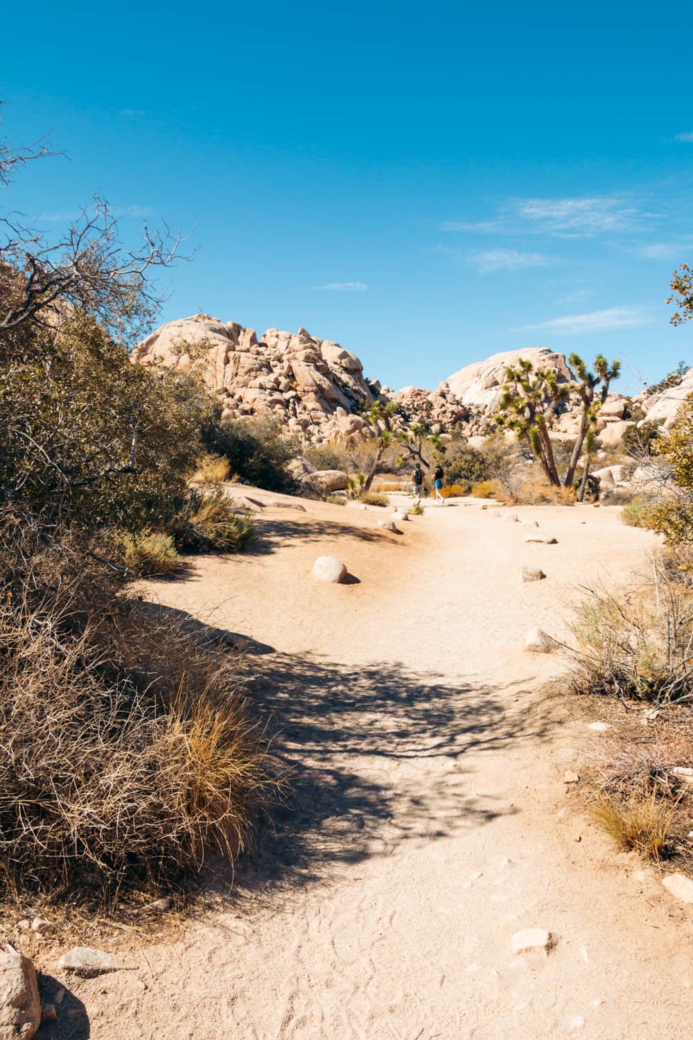 Weekend (1-2 Days) in Joshua Tree National Park - Roads and Destinations