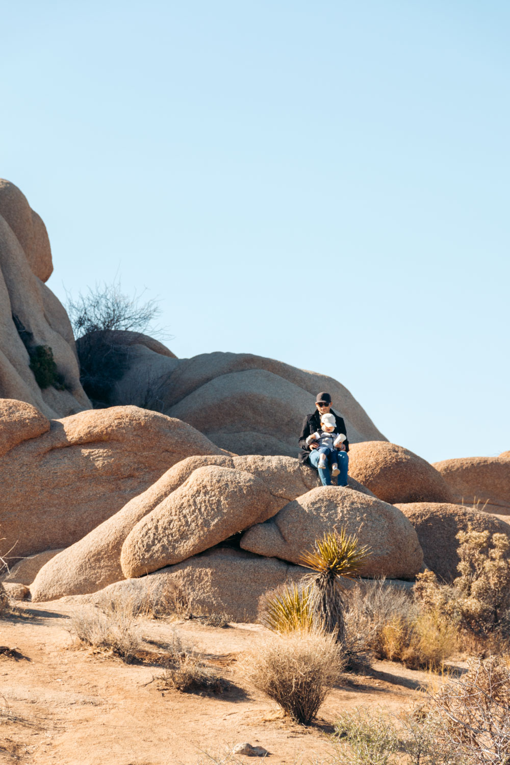Where to Stay in Joshua Tree National Park - Roads and Destinations