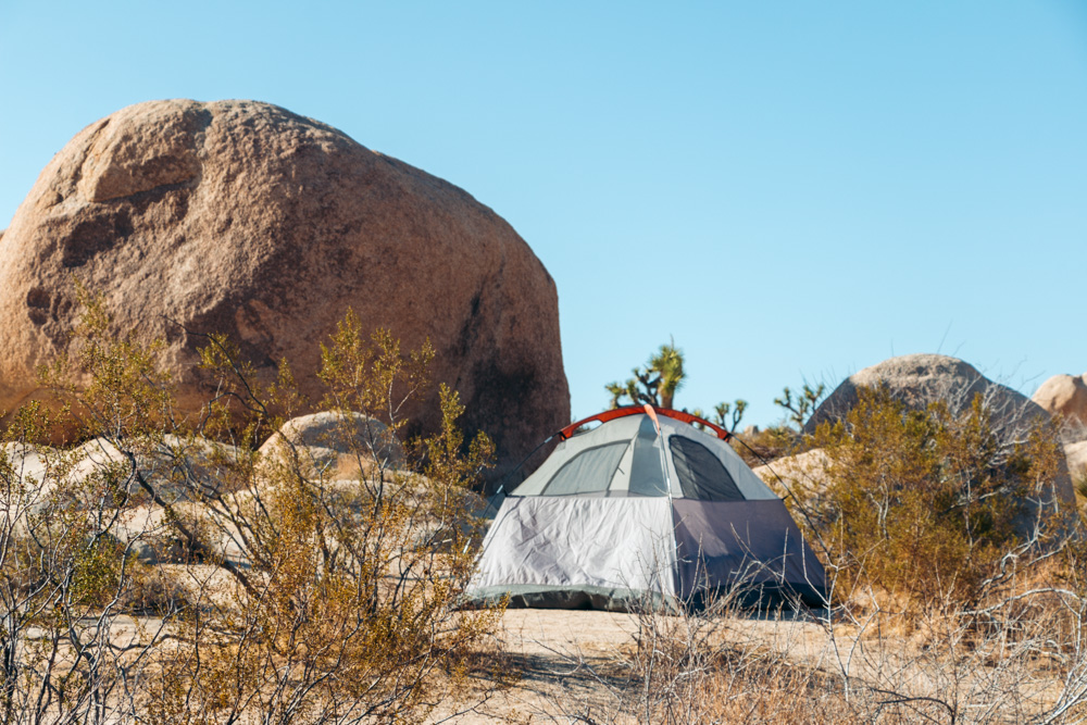 Where to Stay in Joshua Tree National Park - Roads and Destinations