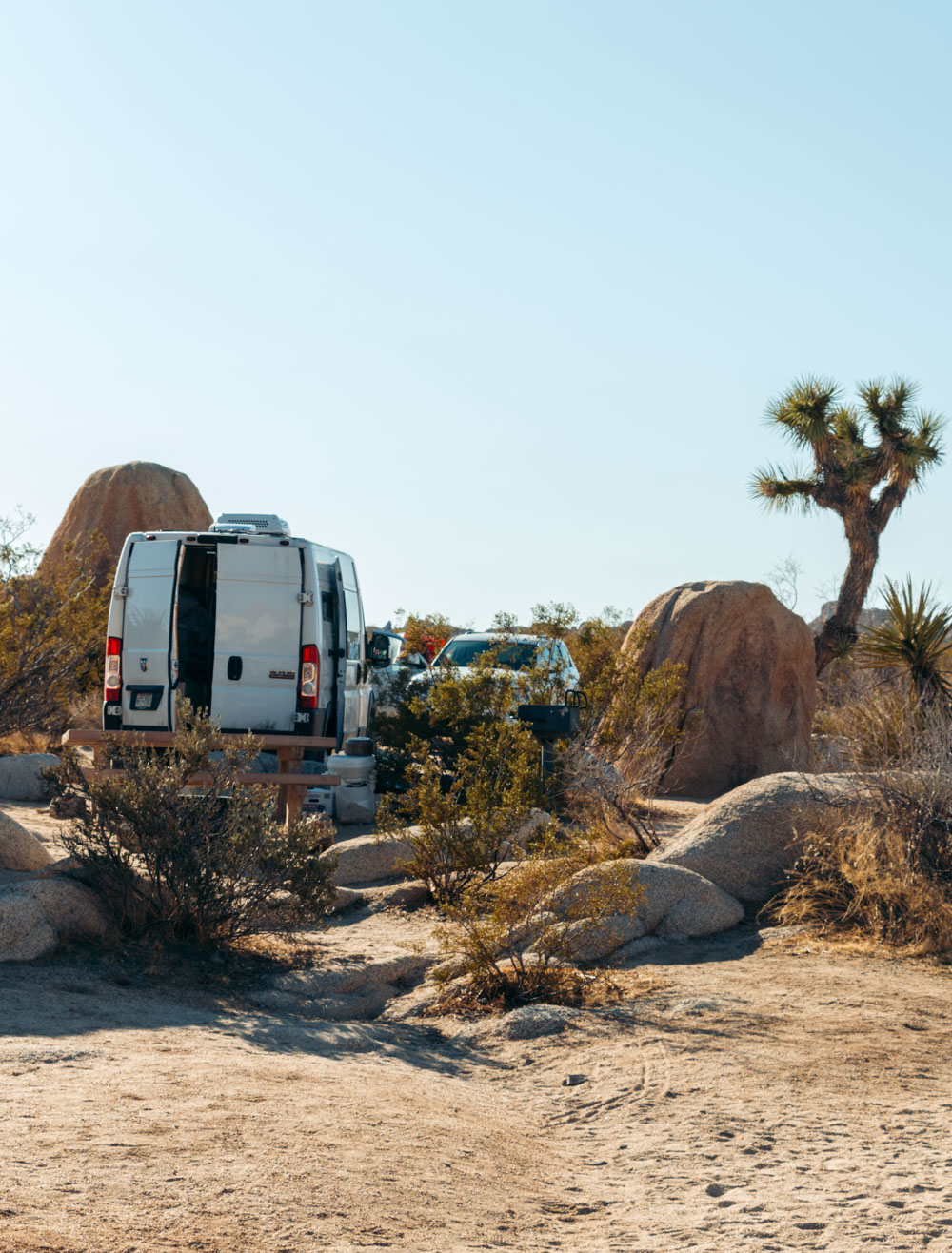 Where to Stay in Joshua Tree National Park - Roads and Destinations