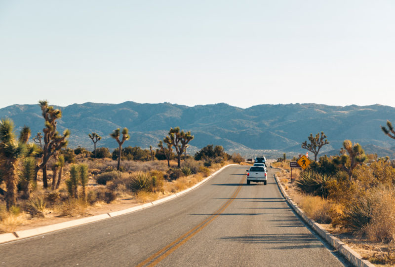 Where to Stay in Joshua Tree National Park: Camping, Glamping, and ...