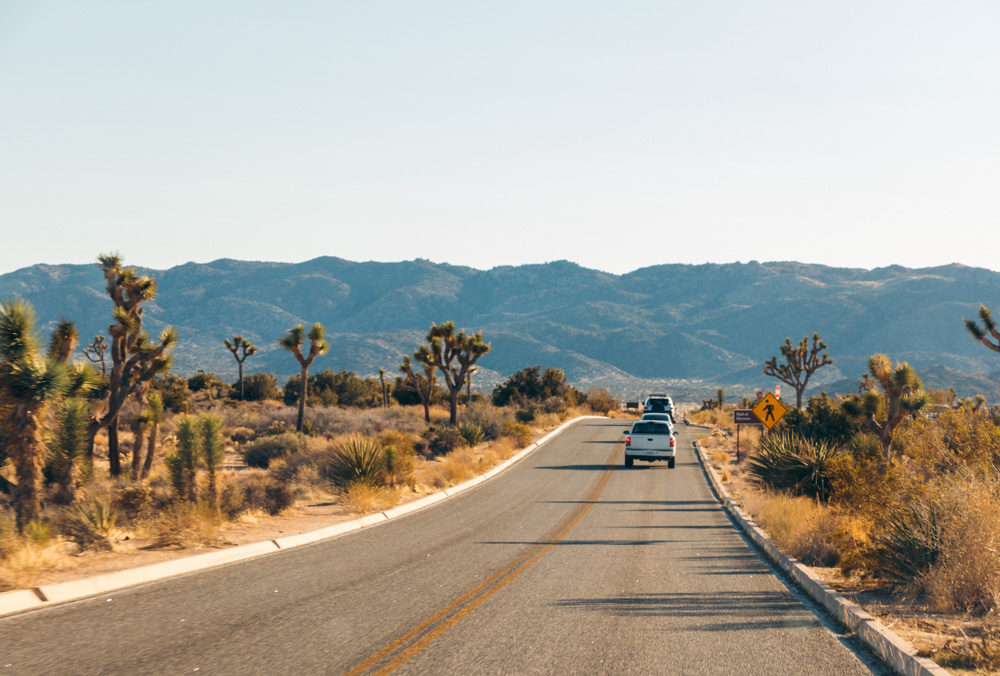 Where to stay in Joshua Tree National Park - Roads and Destinations