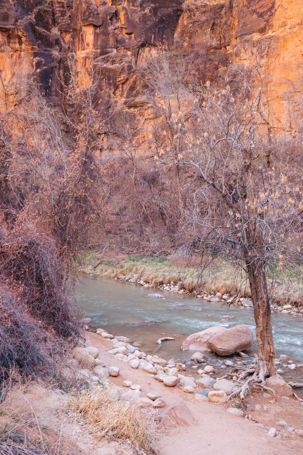 Zion National Park - Roads and Destinations