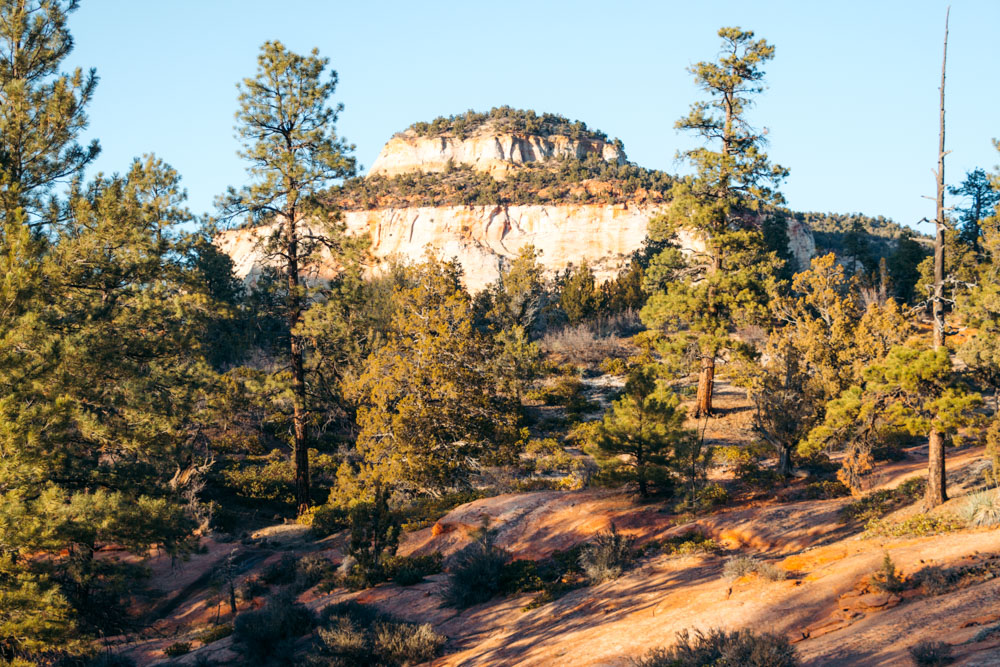 How to get around Zion National Park - Roads and Destinations.