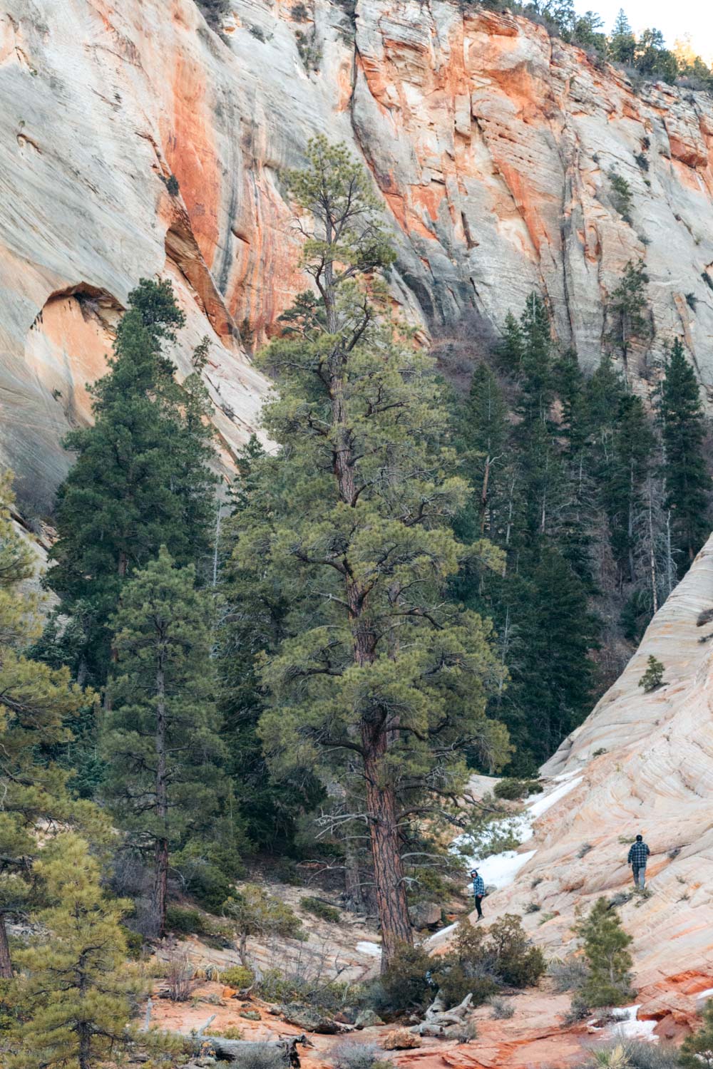 How to get around Zion National Park - Roads and Destinations.