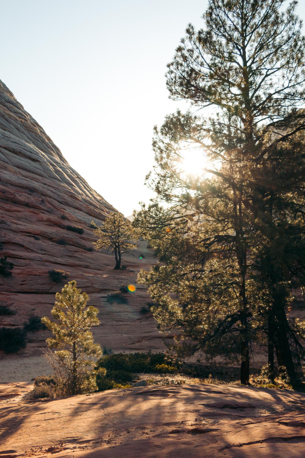 How to get around Zion National Park - Roads and Destinations.