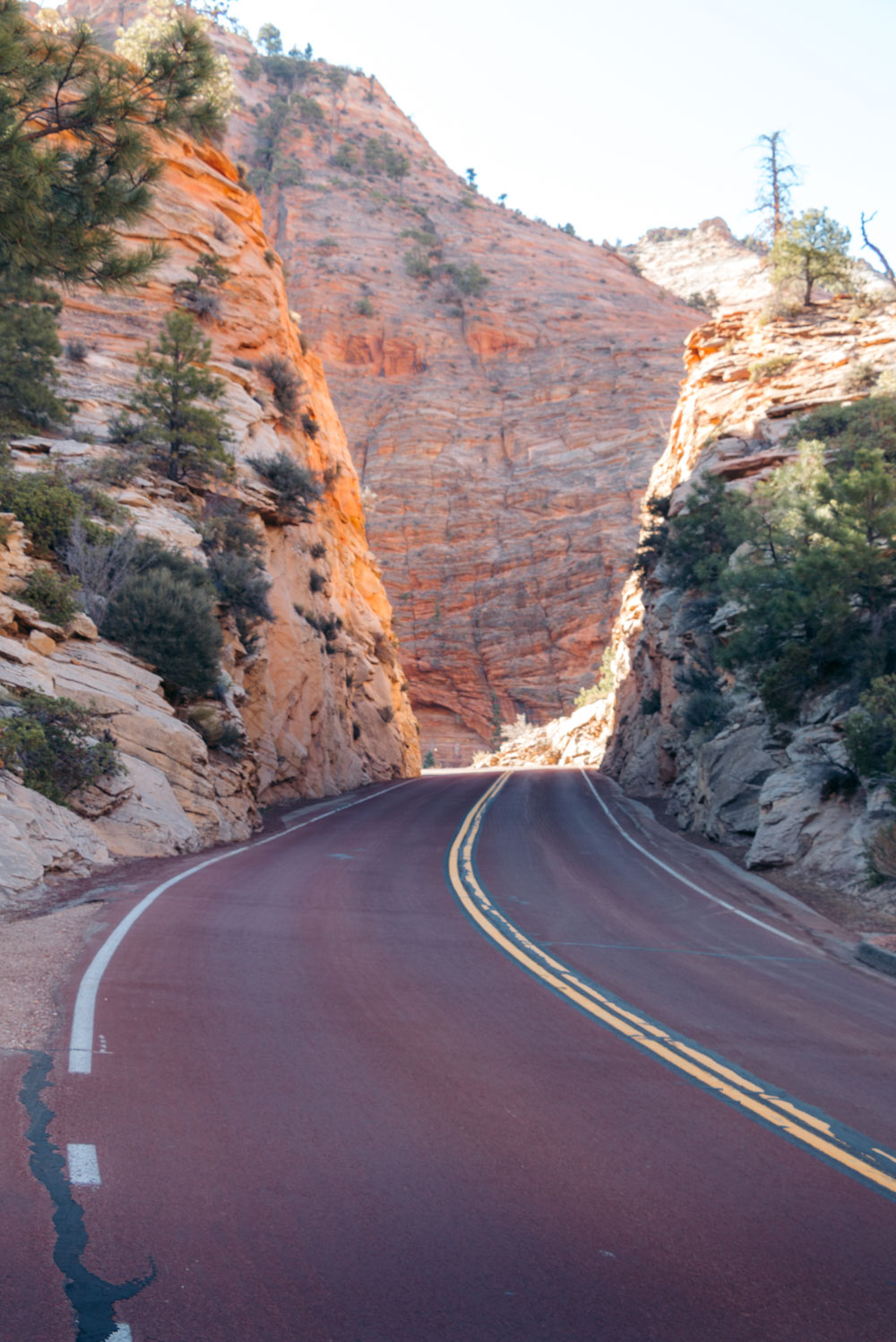 How to get around Zion National Park - Roads and Destinations.