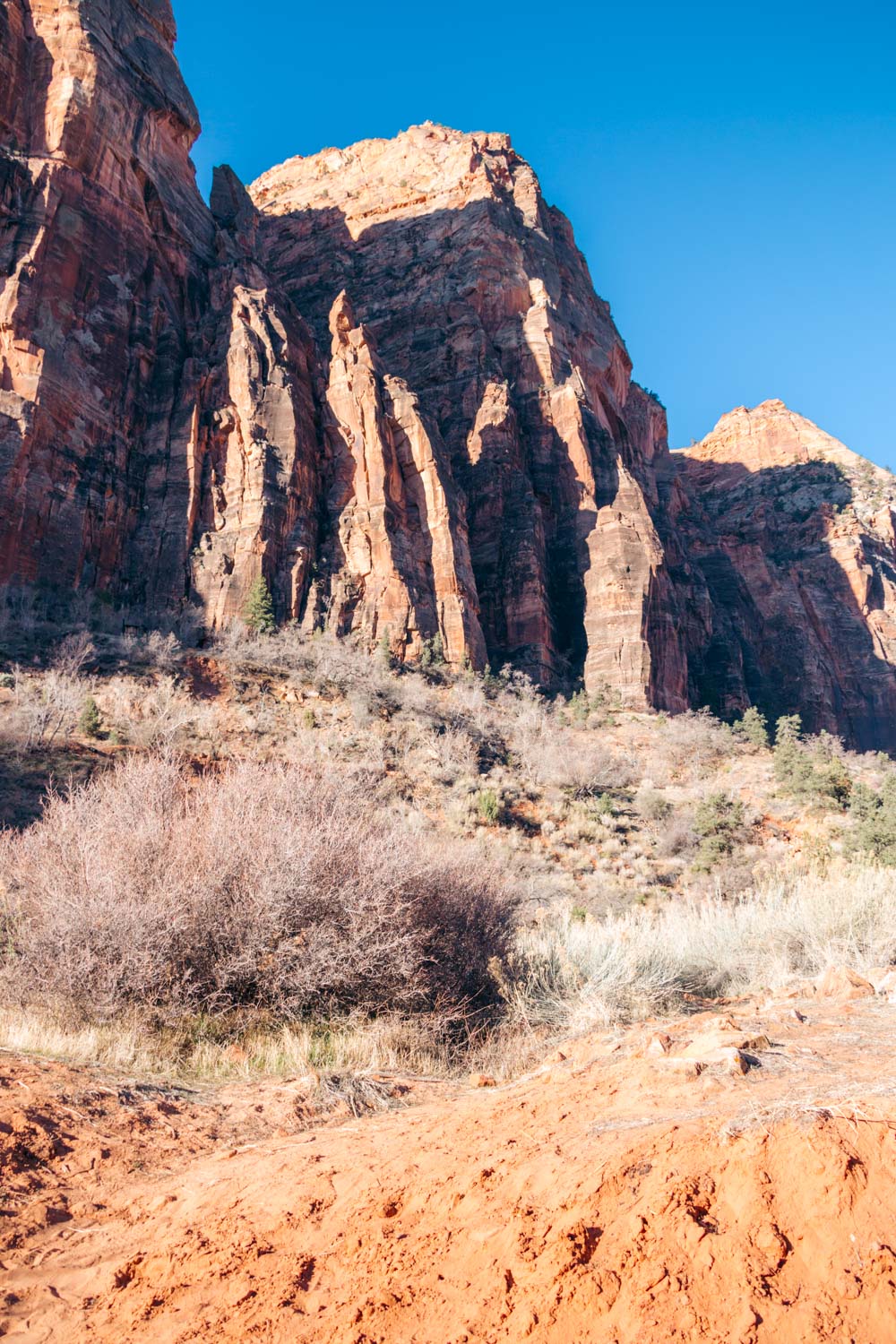 Facts and helpful tips to know before visiting Zion National Park - Roads and Destinations