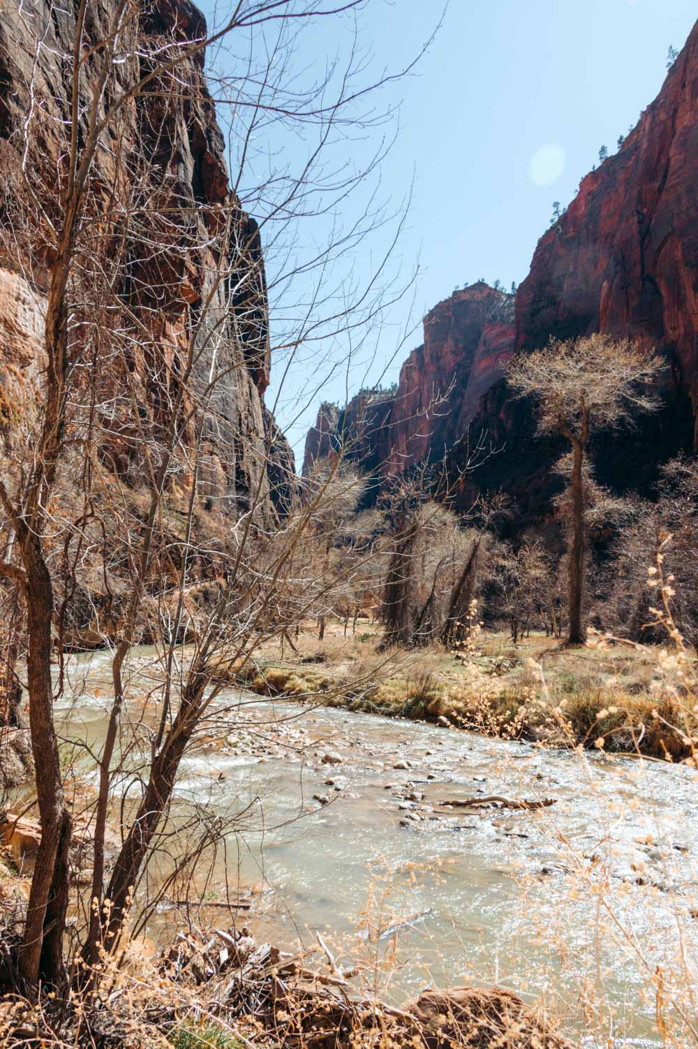 Facts and helpful tips to know before visiting Zion National Park - Roads and Destinations