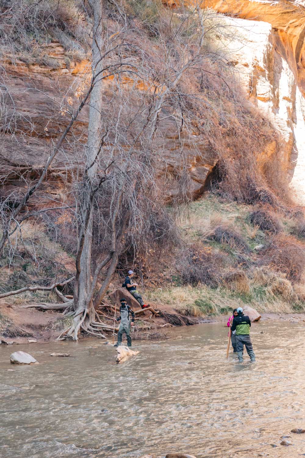 Facts and helpful tips to know before visiting Zion National Park - Roads and Destinations