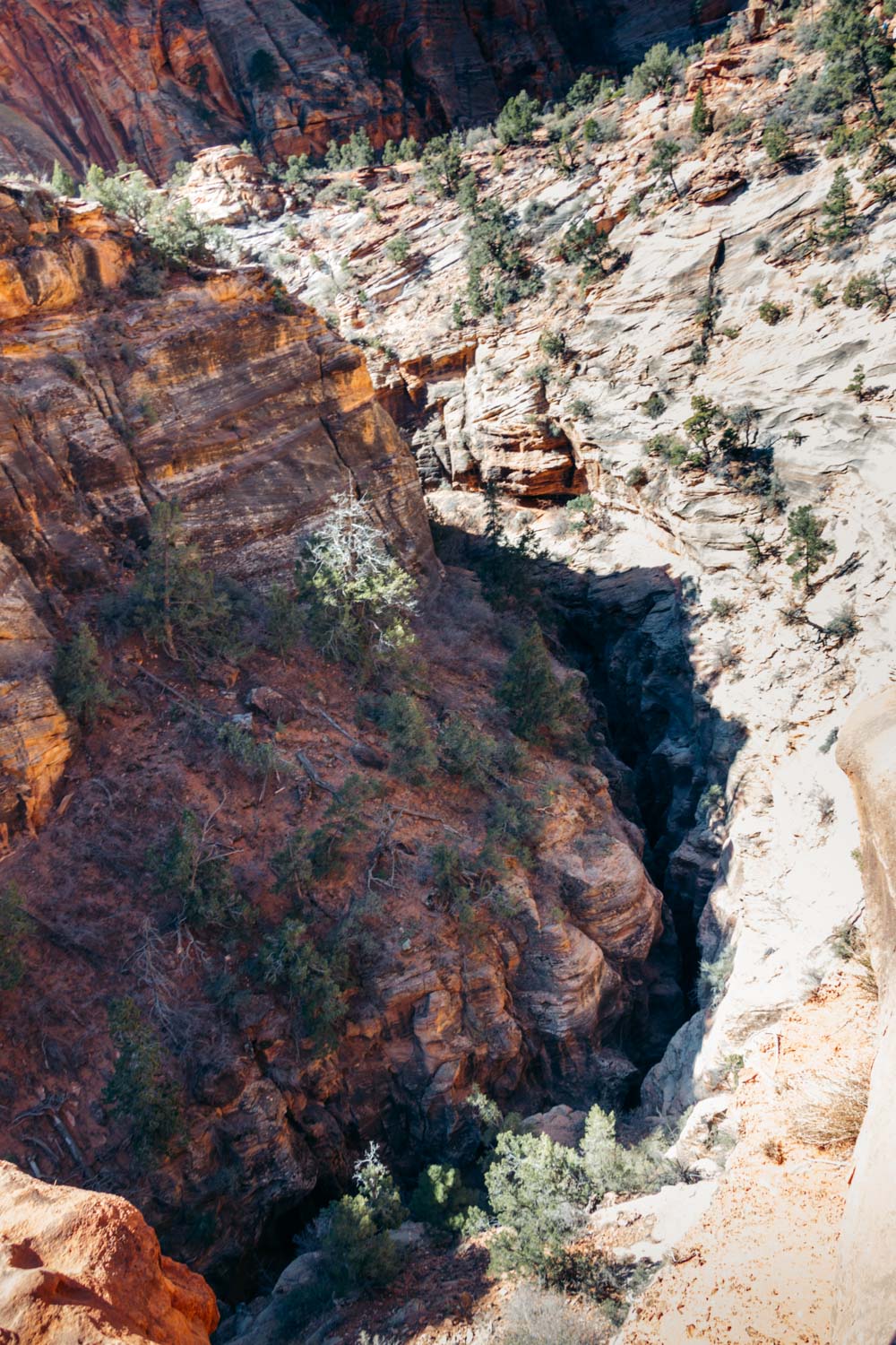 Facts and helpful tips to know before visiting Zion National Park - Roads and Destinations