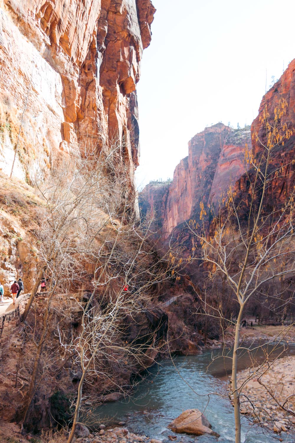 Where to Stay in and near Zion National Park: Camping and Lodging