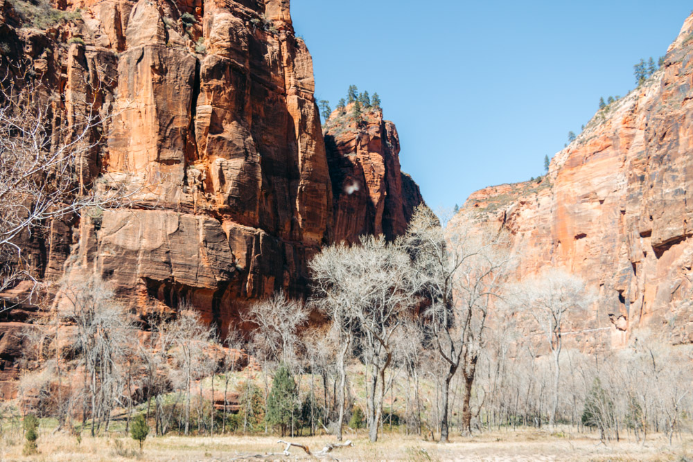 Hiking in Zion National Park - Roads and Destinations