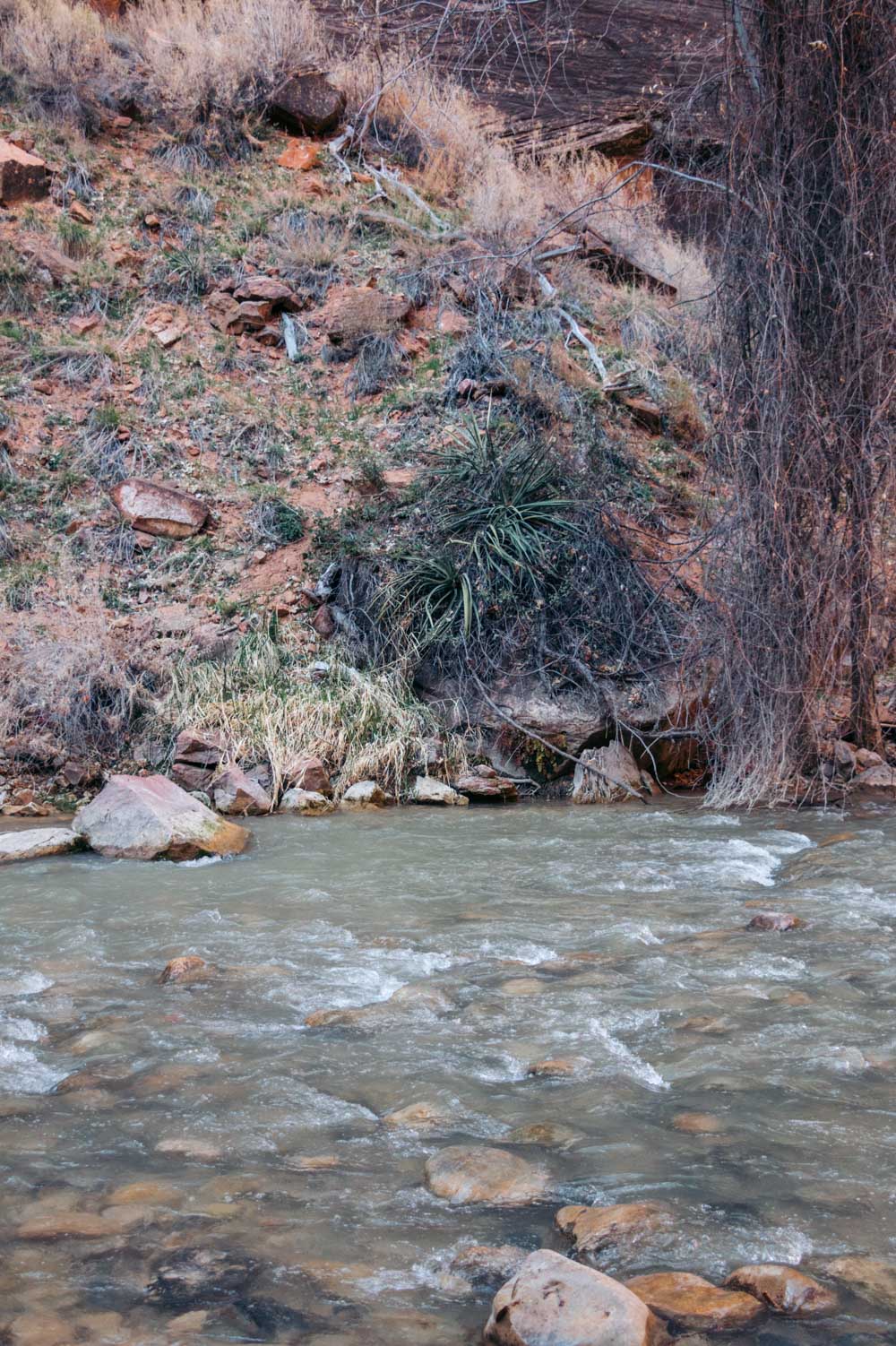 Zion Riverside Walk Trail hike - Roads and Destinations