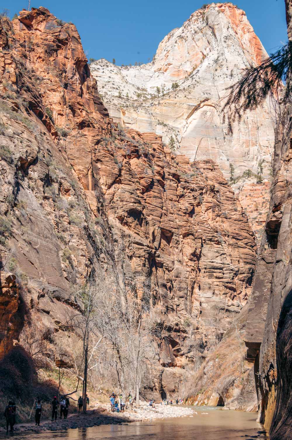 Zion Narrows - Roads and Destinations