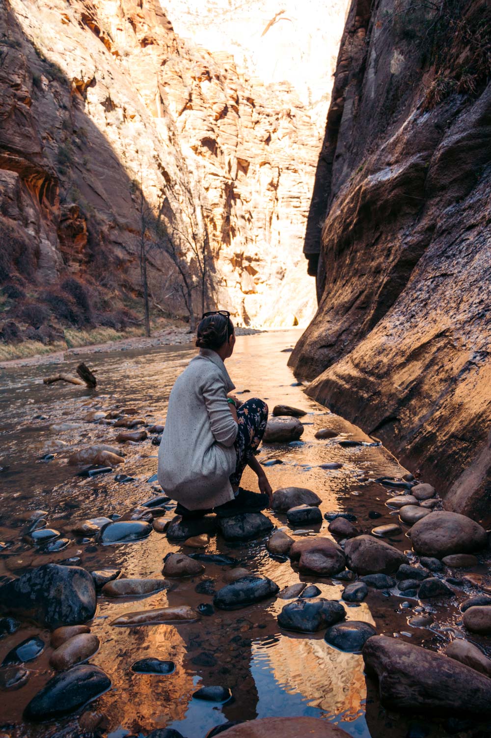 Zion Narrows - Roads and Destinations