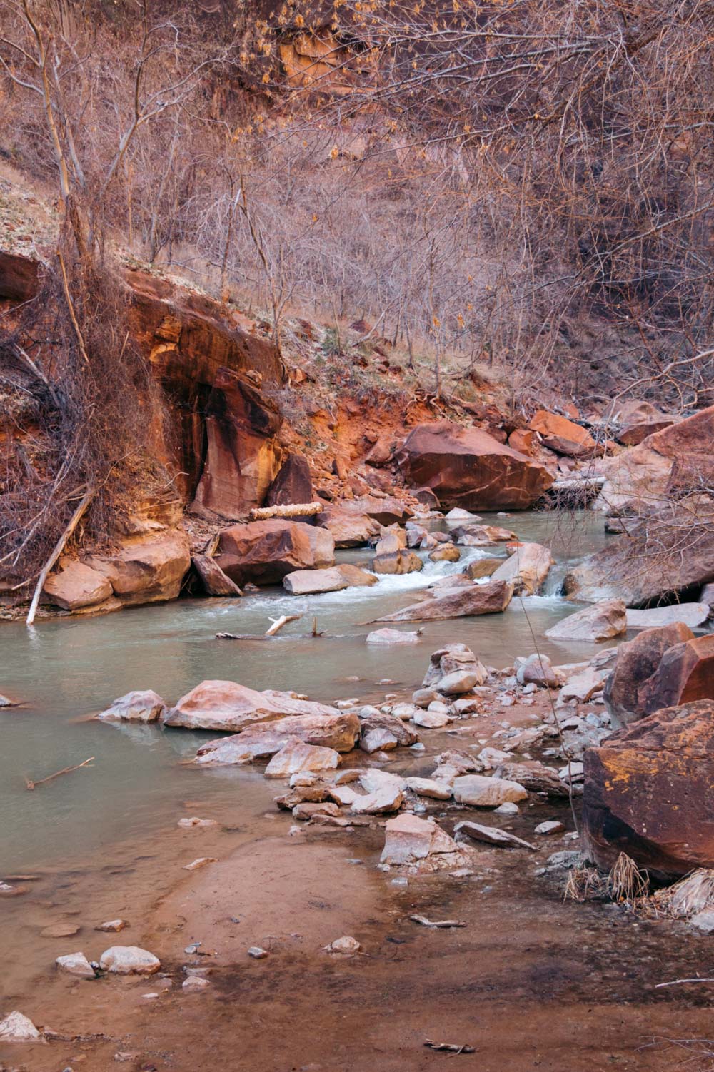 Hiking in Zion National Park - Roads and Destinations