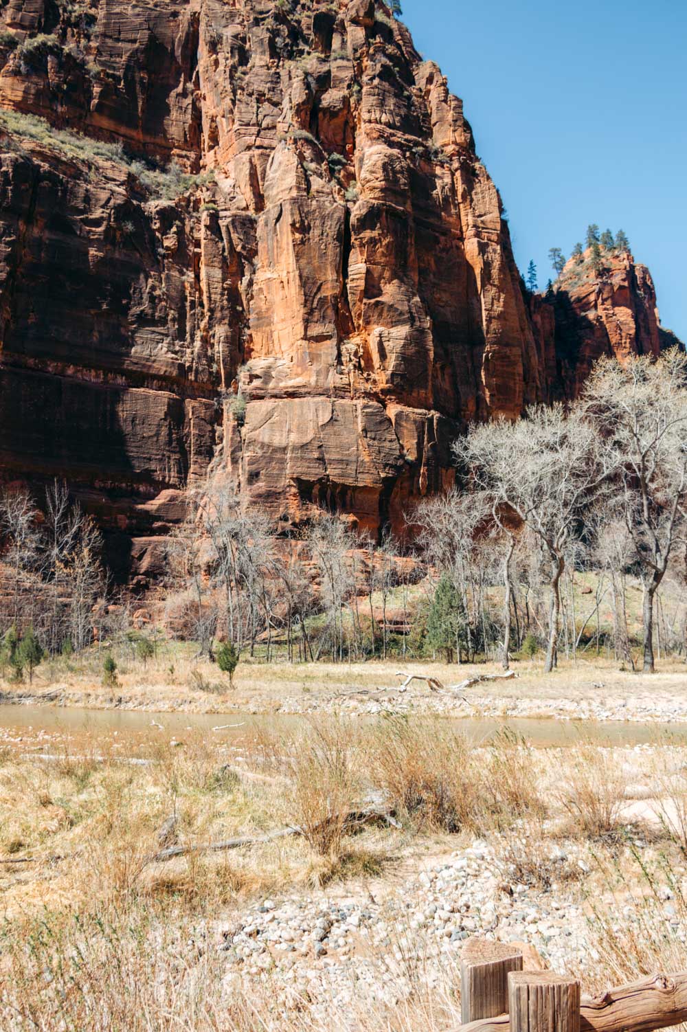 Zion Riverside Walk Trail hike - Roads and Destinations