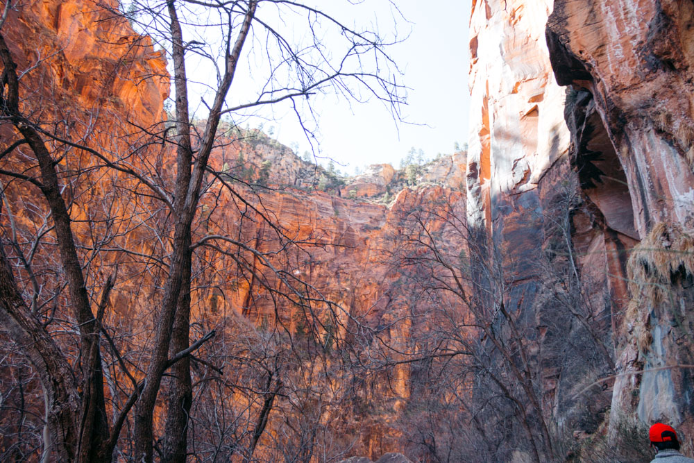 Zion Riverside Walk Trail hike - Roads and Destinations