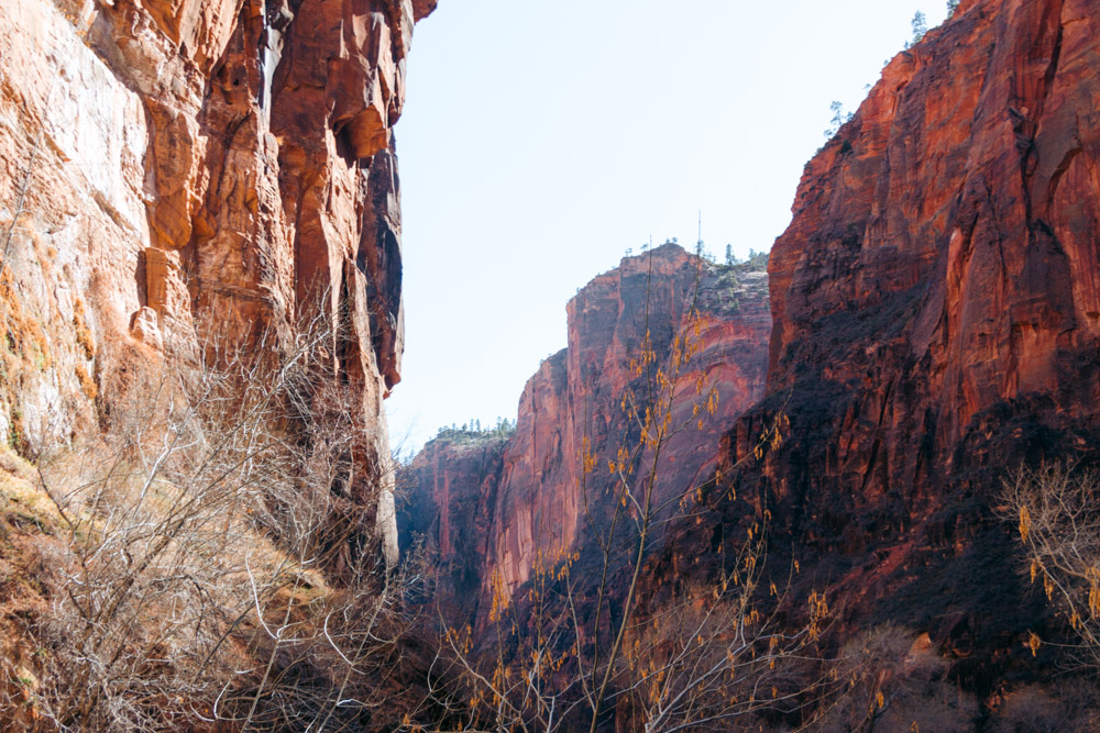 Zion Riverside Walk Trail hike - Roads and Destinations