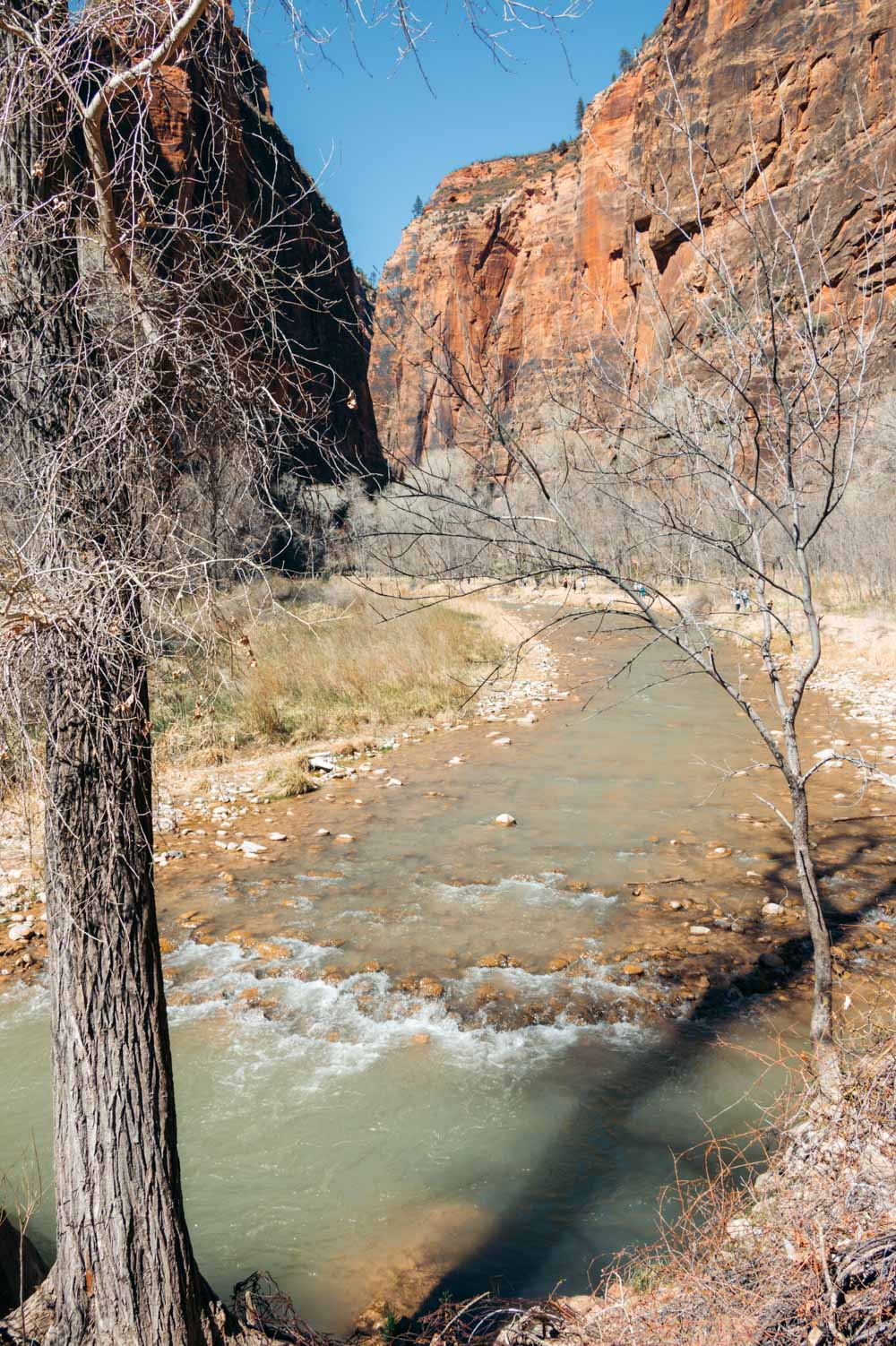 Hiking in Zion National Park - Roads and Destinations