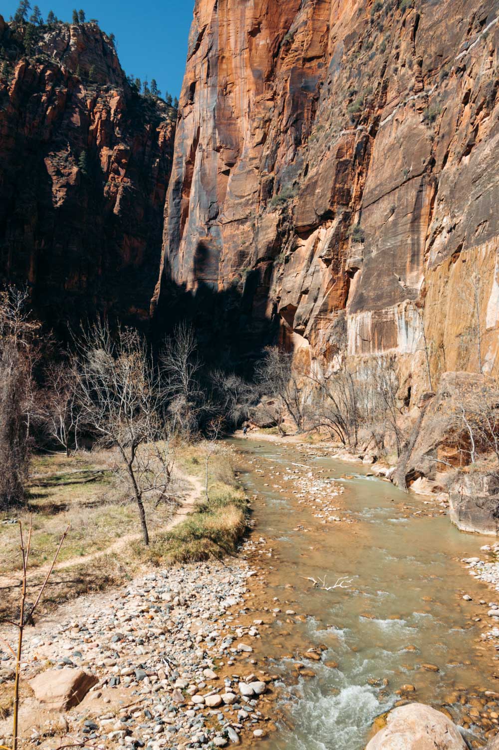 Zion Riverside Walk Trail hike - Roads and Destinations