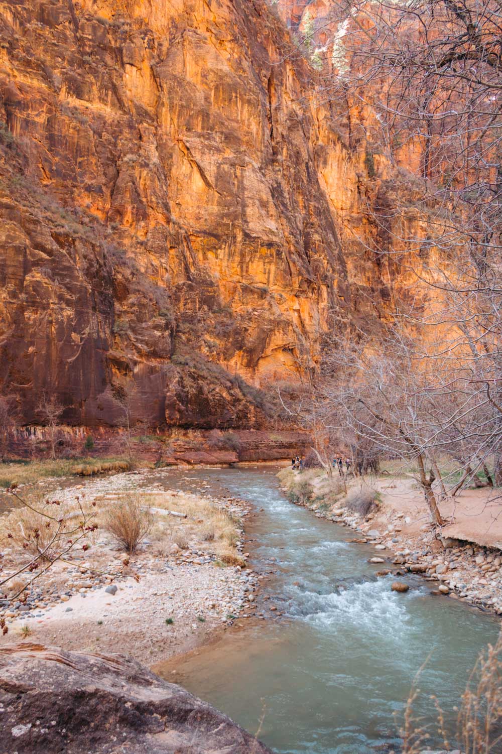 Zion Riverside Walk Trail hike - Roads and Destinations