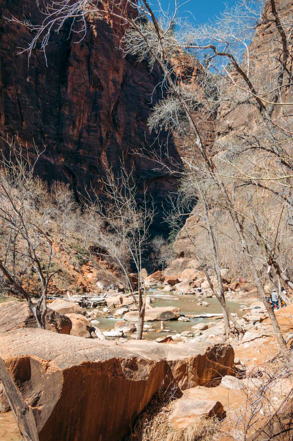 Hiking in Zion National Park - Roads and Destinations