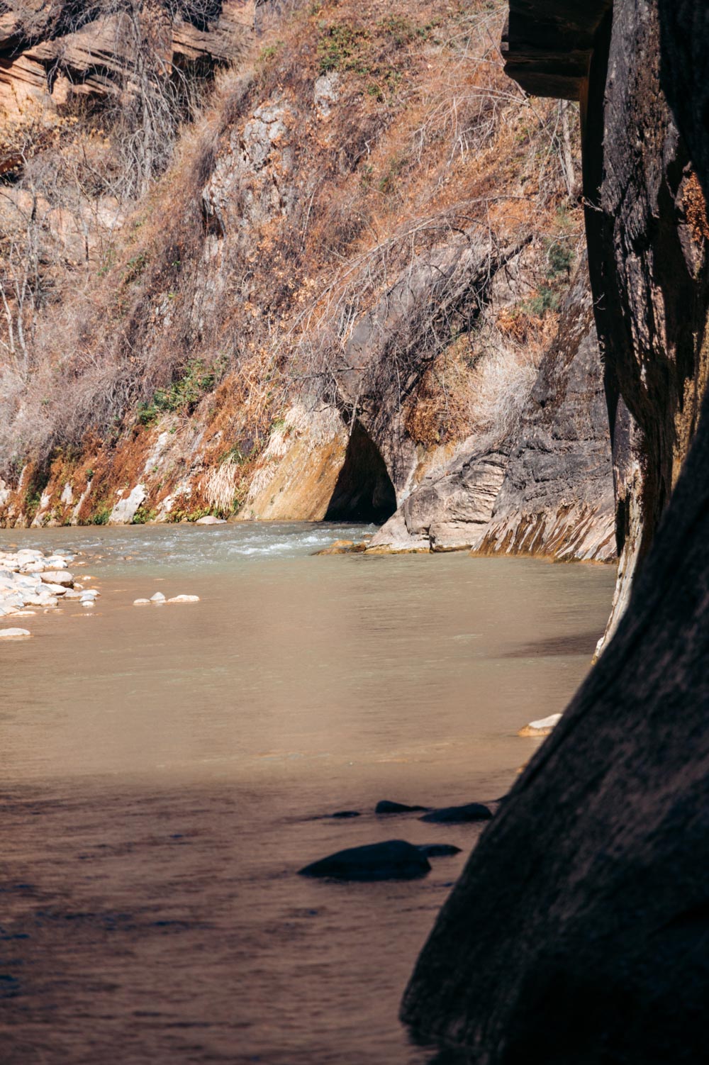 Zion Riverside Walk Trail hike - Roads and Destinations